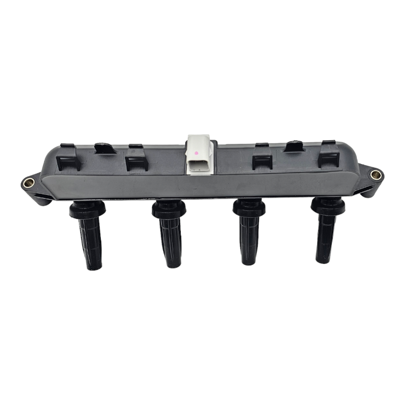 Bobina Peugeot 206 1.6 00-10 Pacha Gris